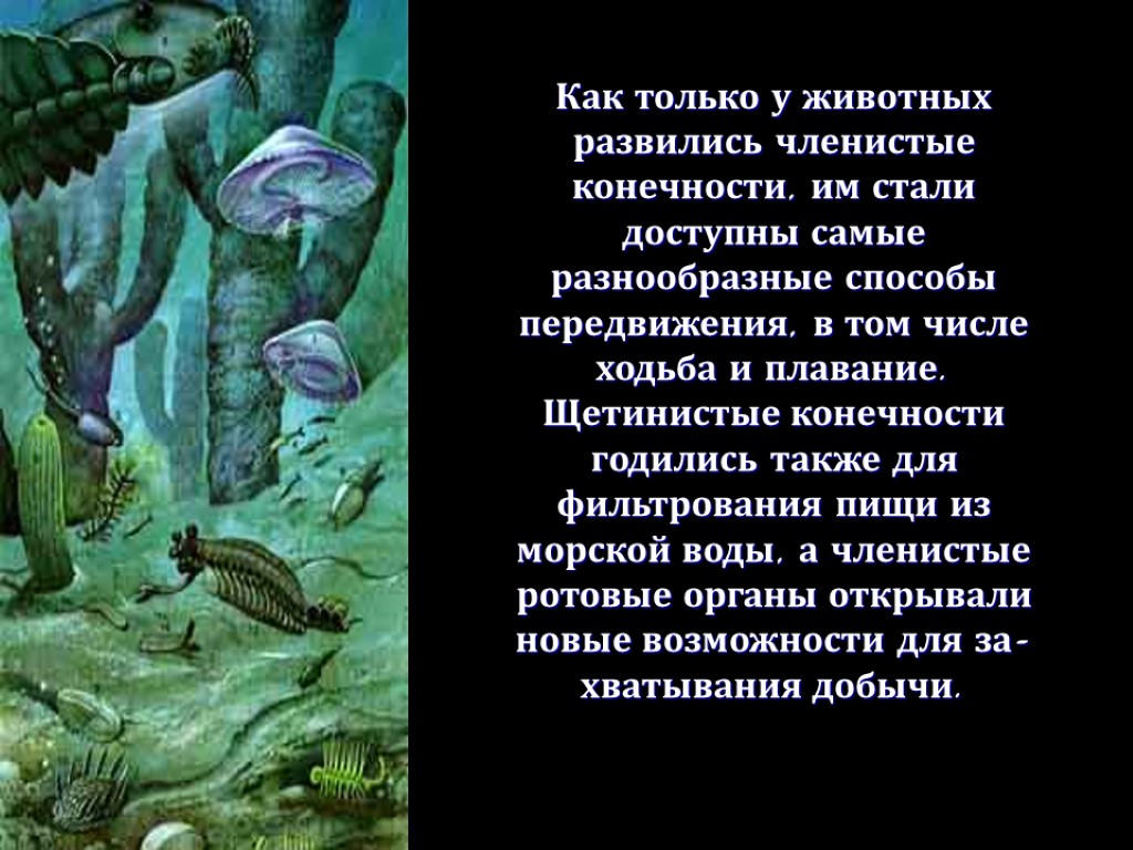 Как только у животных развились членистые конечности, им стали доступны самые разнообразные способы передвижения,